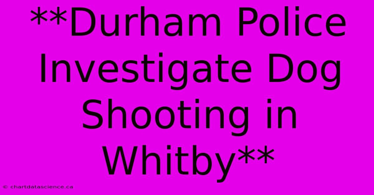 **Durham Police Investigate Dog Shooting In Whitby**