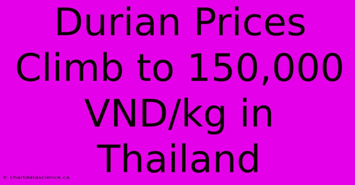 Durian Prices Climb To 150,000 VND/kg In Thailand