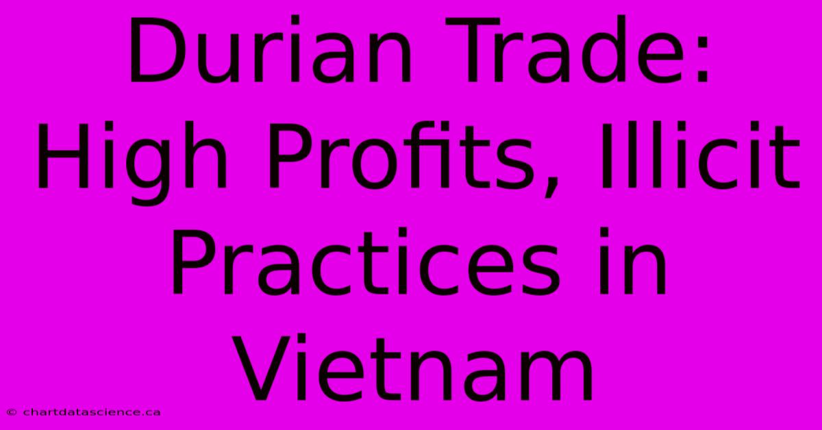 Durian Trade: High Profits, Illicit Practices In Vietnam