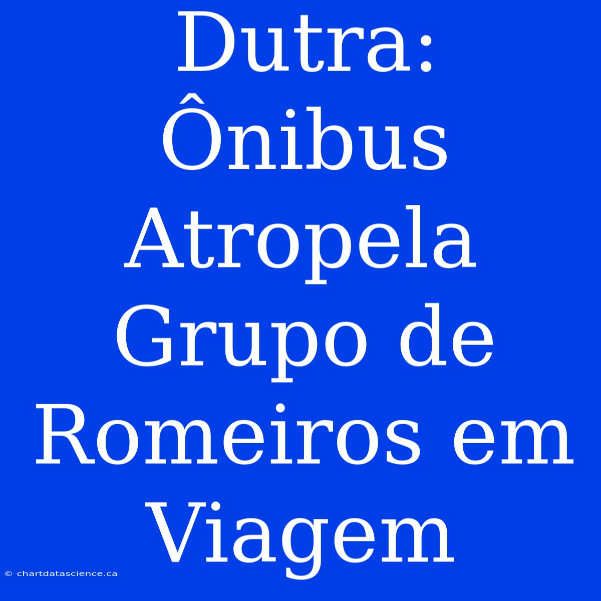 Dutra: Ônibus Atropela Grupo De Romeiros Em Viagem