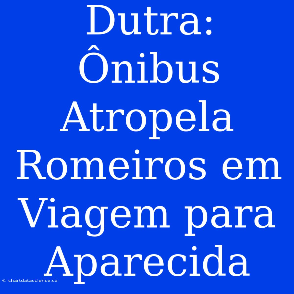 Dutra: Ônibus Atropela Romeiros Em Viagem Para Aparecida