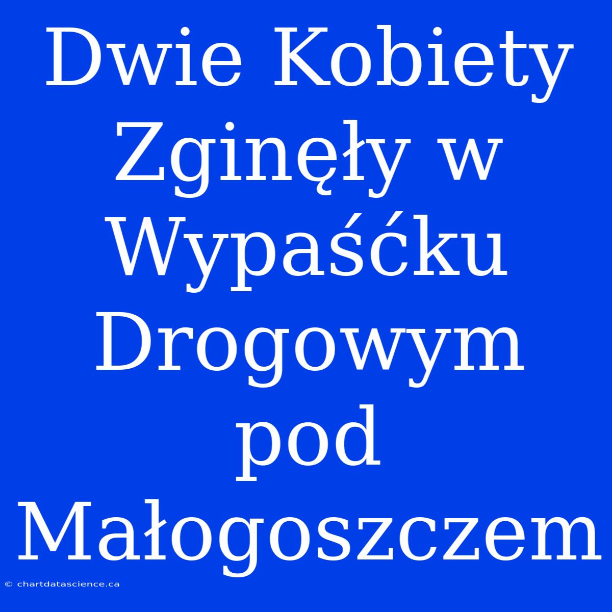 Dwie Kobiety Zginęły W Wypaśćku Drogowym Pod Małogoszczem