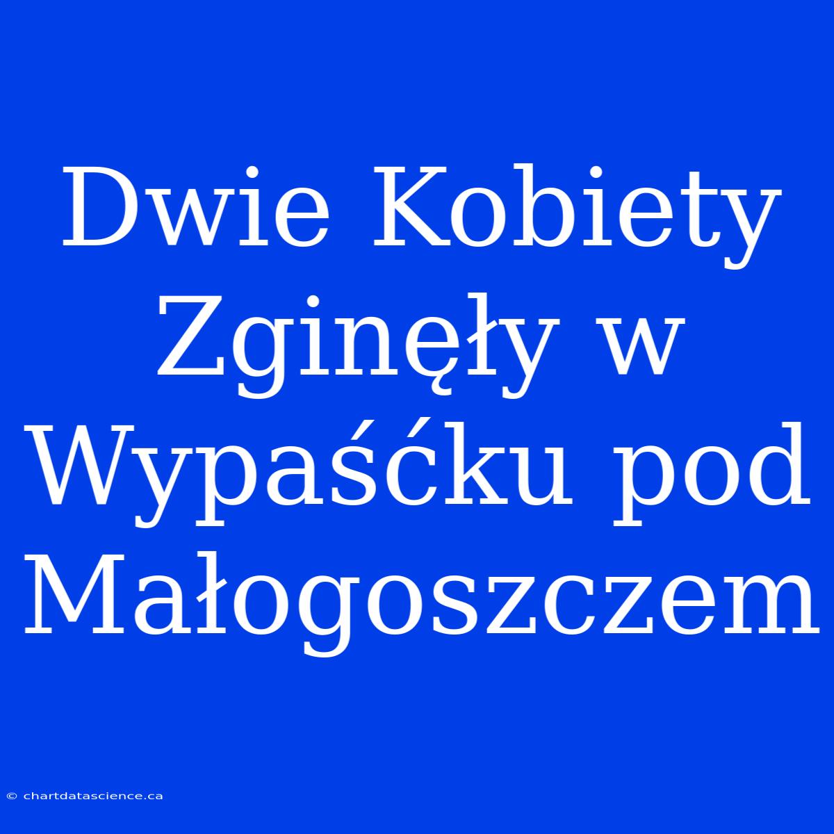 Dwie Kobiety Zginęły W Wypaśćku Pod Małogoszczem