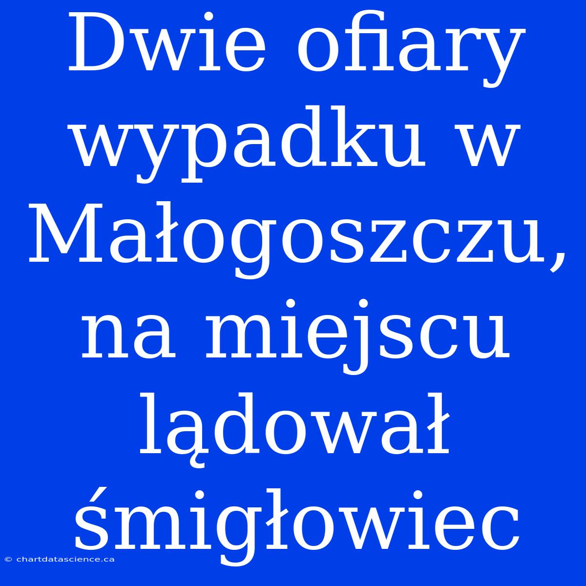 Dwie Ofiary Wypadku W Małogoszczu, Na Miejscu Lądował Śmigłowiec