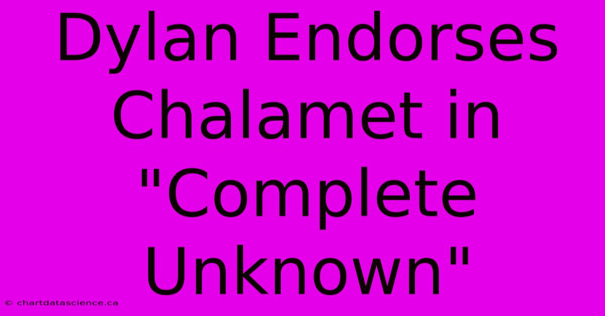 Dylan Endorses Chalamet In 