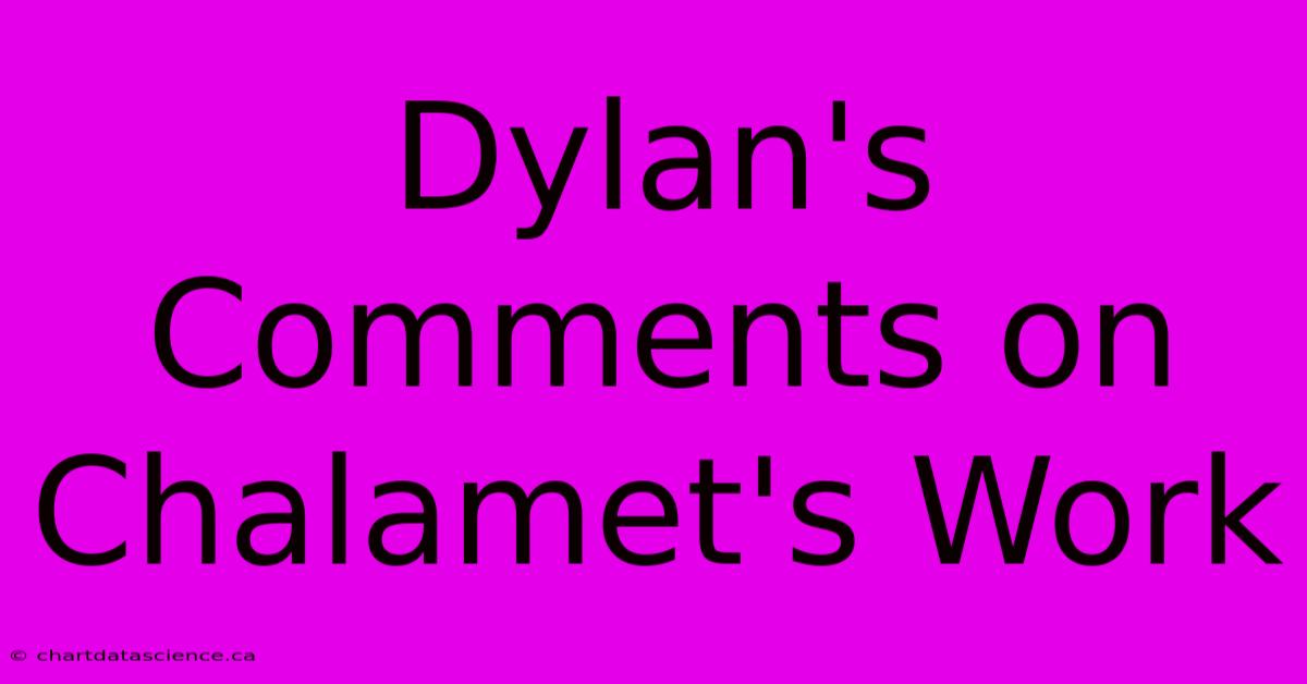 Dylan's Comments On Chalamet's Work