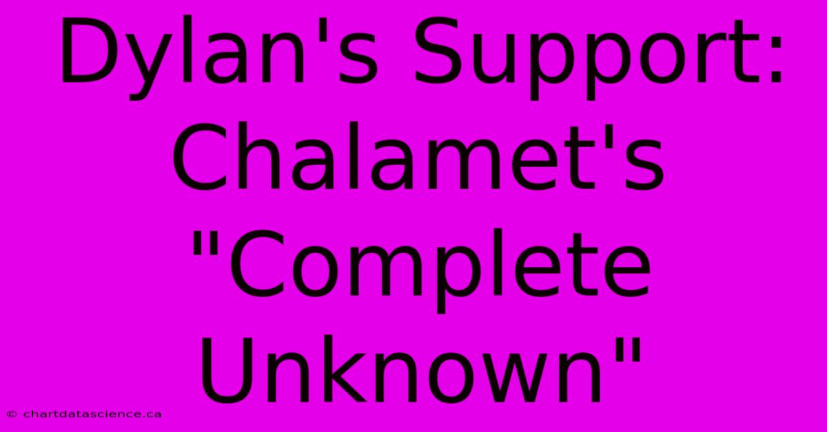 Dylan's Support: Chalamet's 