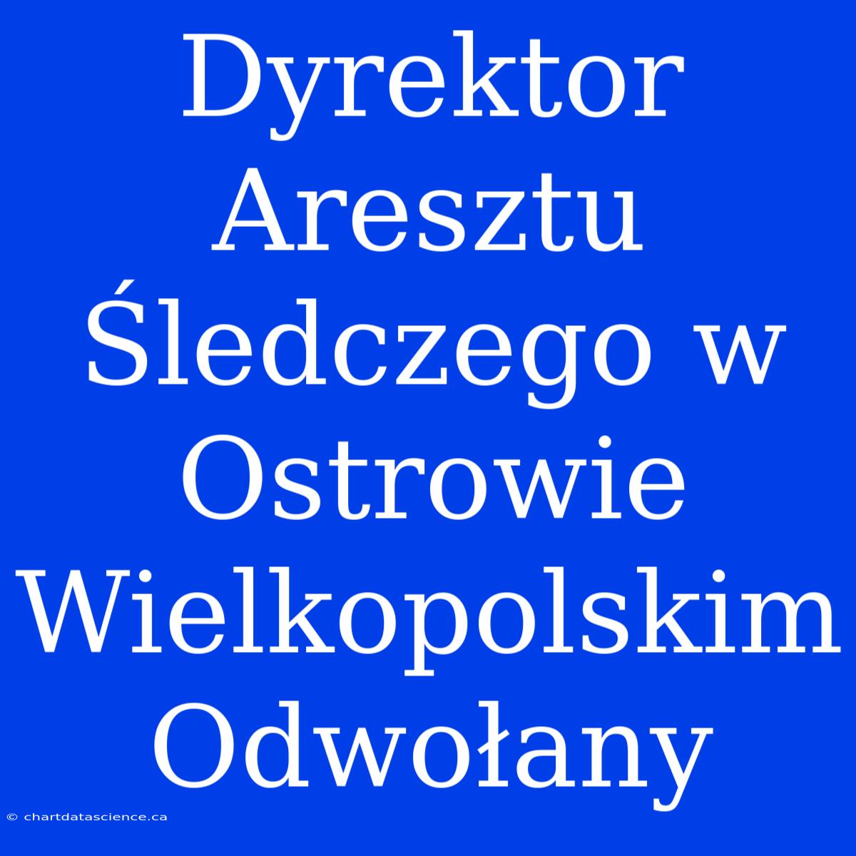 Dyrektor Aresztu Śledczego W Ostrowie Wielkopolskim Odwołany