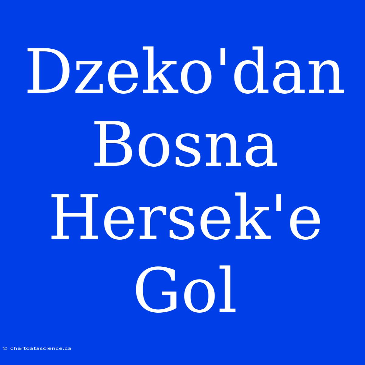 Dzeko'dan Bosna Hersek'e Gol