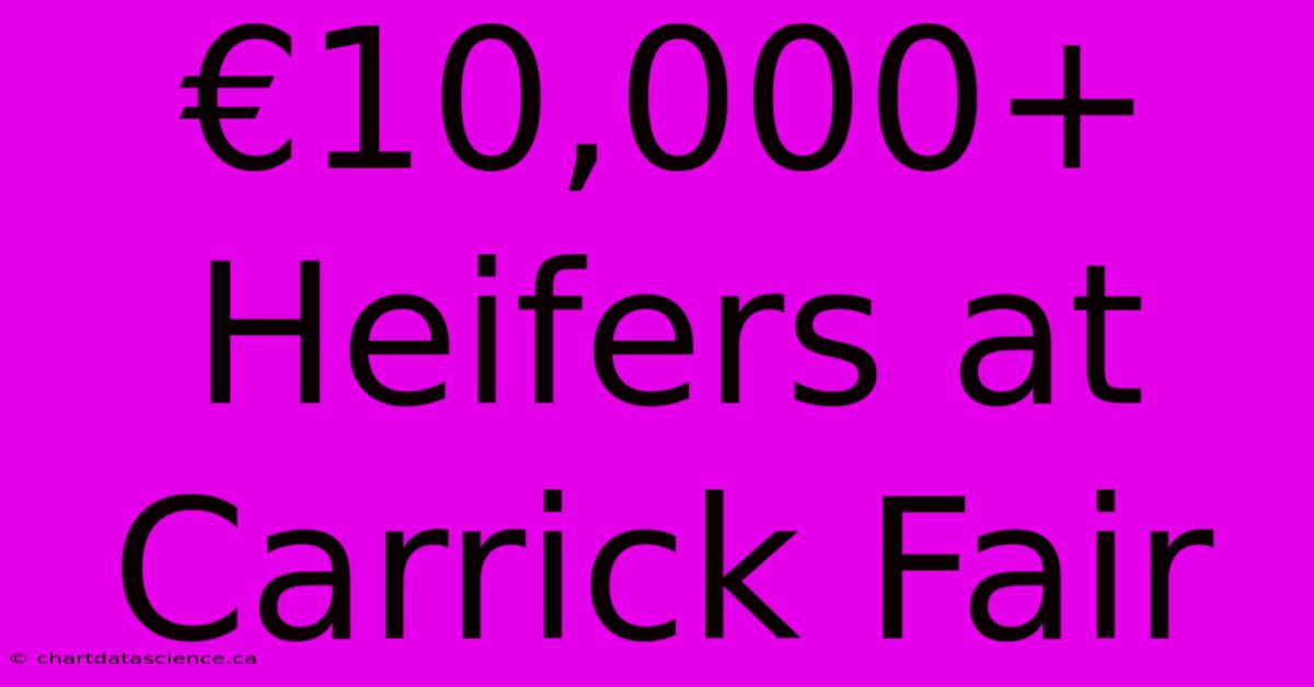 €10,000+ Heifers At Carrick Fair