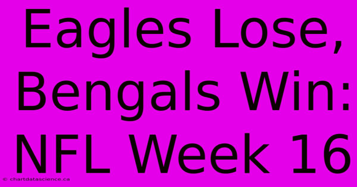 Eagles Lose, Bengals Win: NFL Week 16