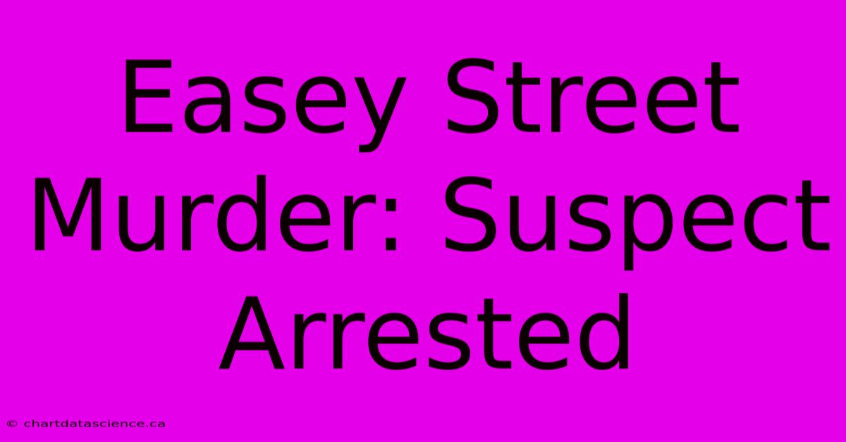 Easey Street Murder: Suspect Arrested