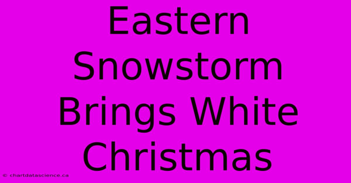 Eastern Snowstorm Brings White Christmas