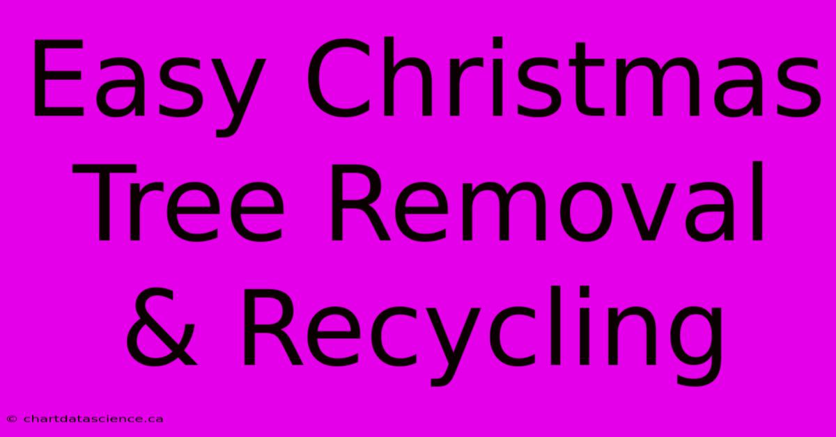 Easy Christmas Tree Removal & Recycling