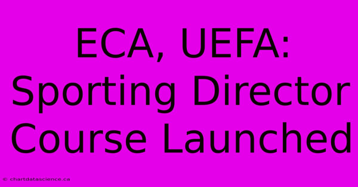 ECA, UEFA: Sporting Director Course Launched