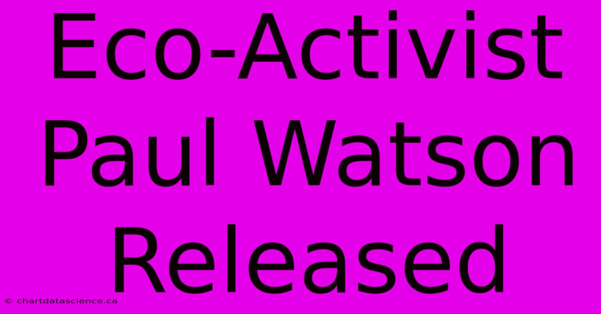 Eco-Activist Paul Watson Released