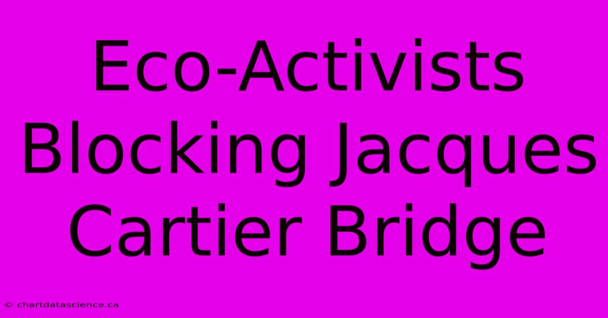 Eco-Activists Blocking Jacques Cartier Bridge