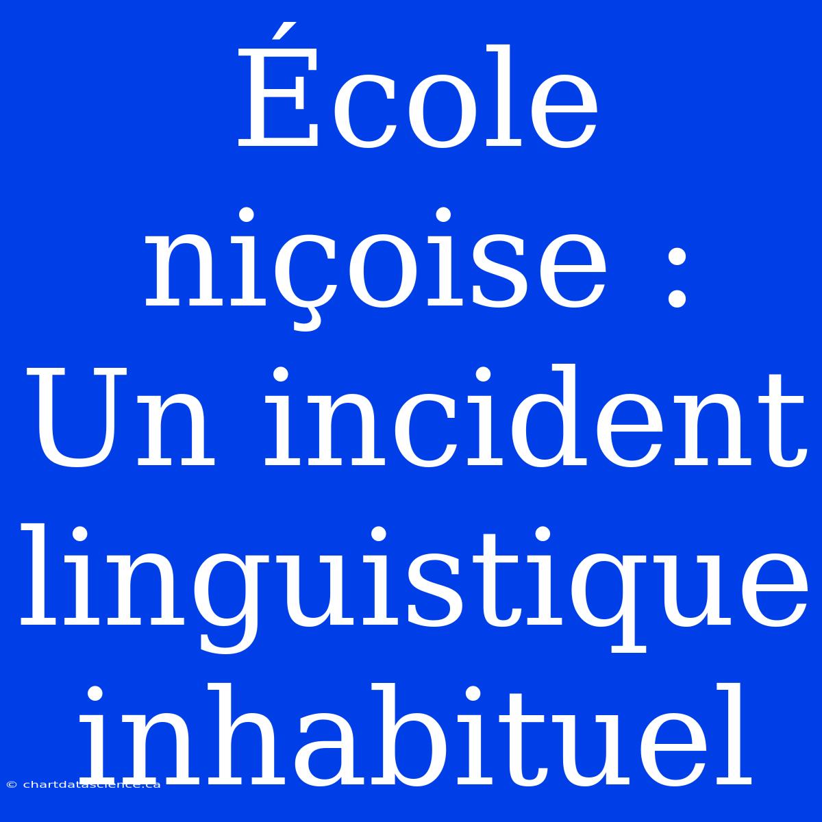 École Niçoise : Un Incident Linguistique Inhabituel