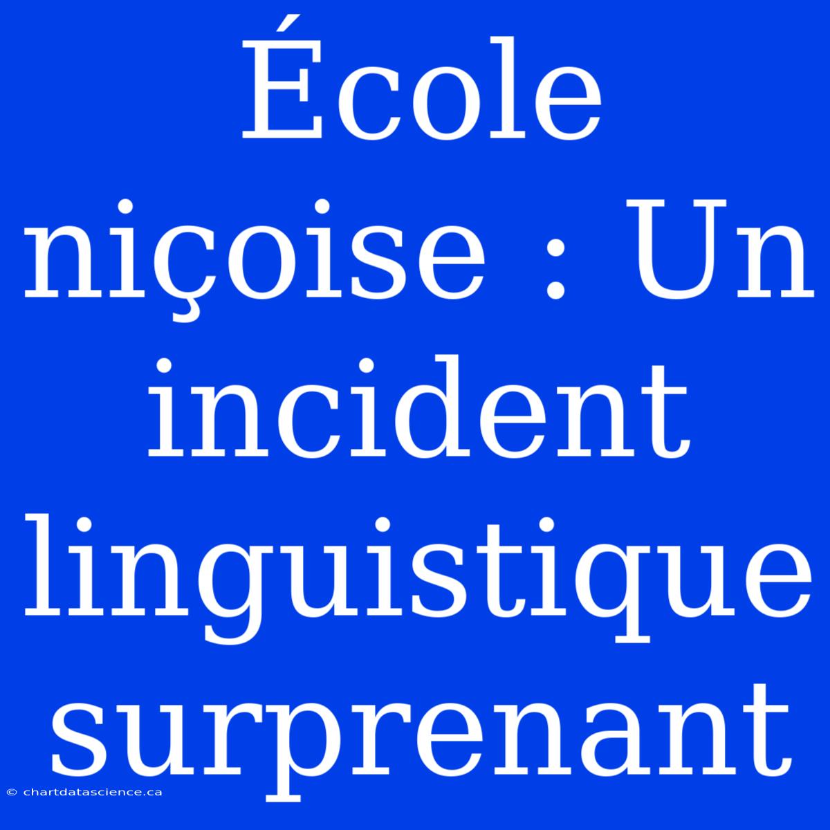 École Niçoise : Un Incident Linguistique Surprenant