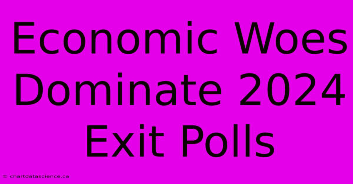 Economic Woes Dominate 2024 Exit Polls