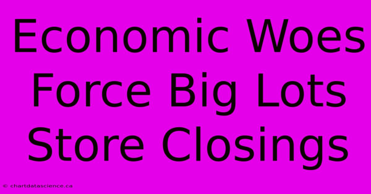 Economic Woes Force Big Lots Store Closings