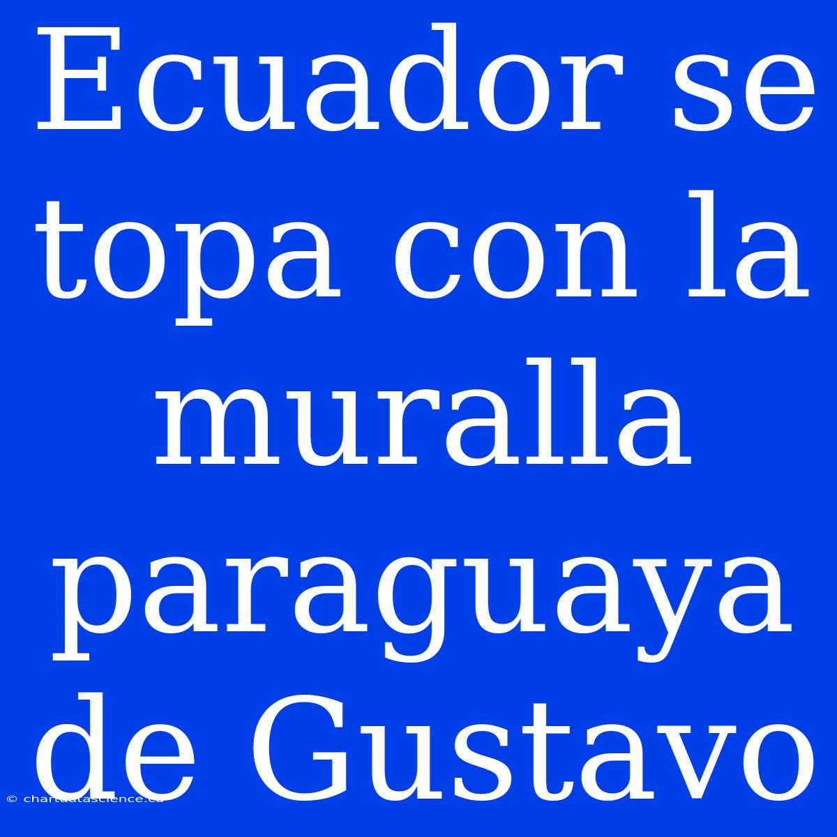 Ecuador Se Topa Con La Muralla Paraguaya De Gustavo