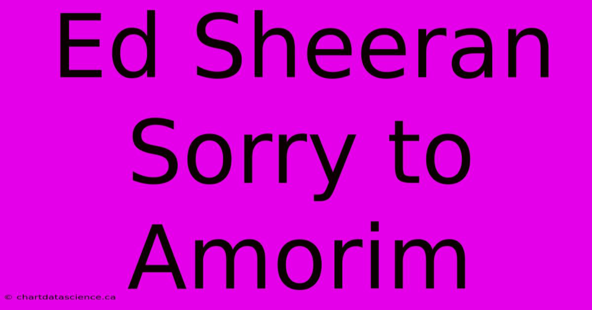 Ed Sheeran Sorry To Amorim