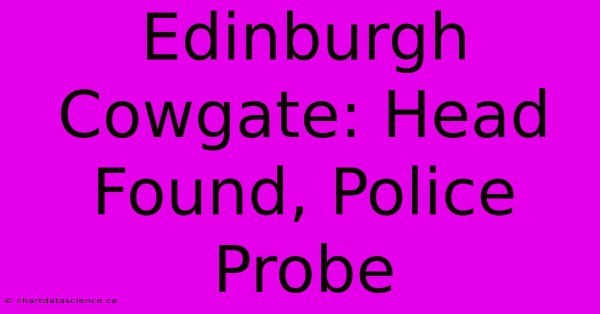 Edinburgh Cowgate: Head Found, Police Probe