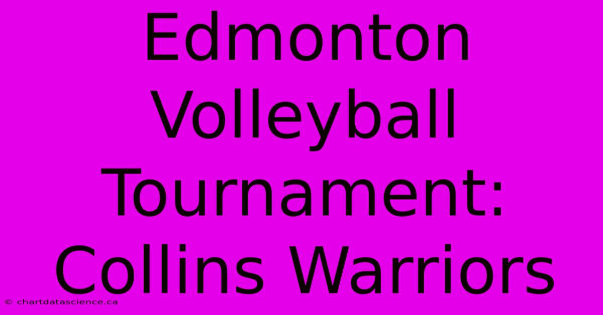 Edmonton Volleyball Tournament: Collins Warriors 