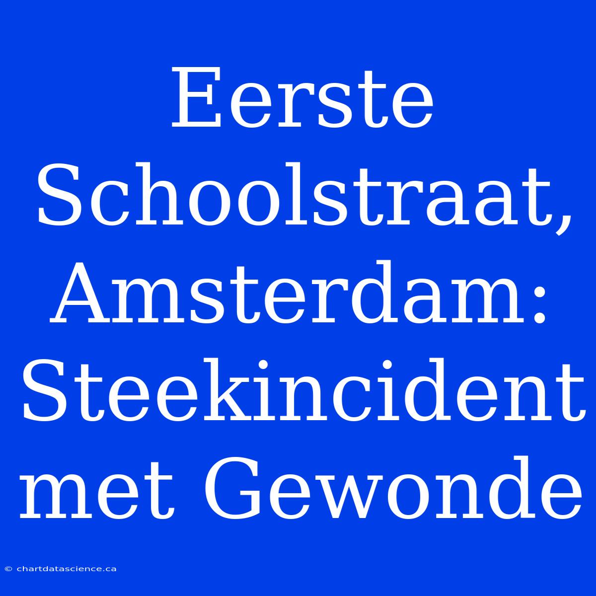 Eerste Schoolstraat, Amsterdam: Steekincident Met Gewonde