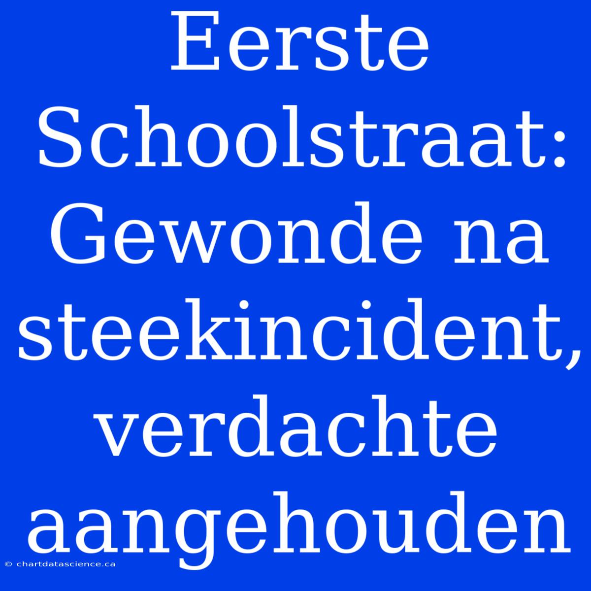 Eerste Schoolstraat: Gewonde Na Steekincident, Verdachte Aangehouden