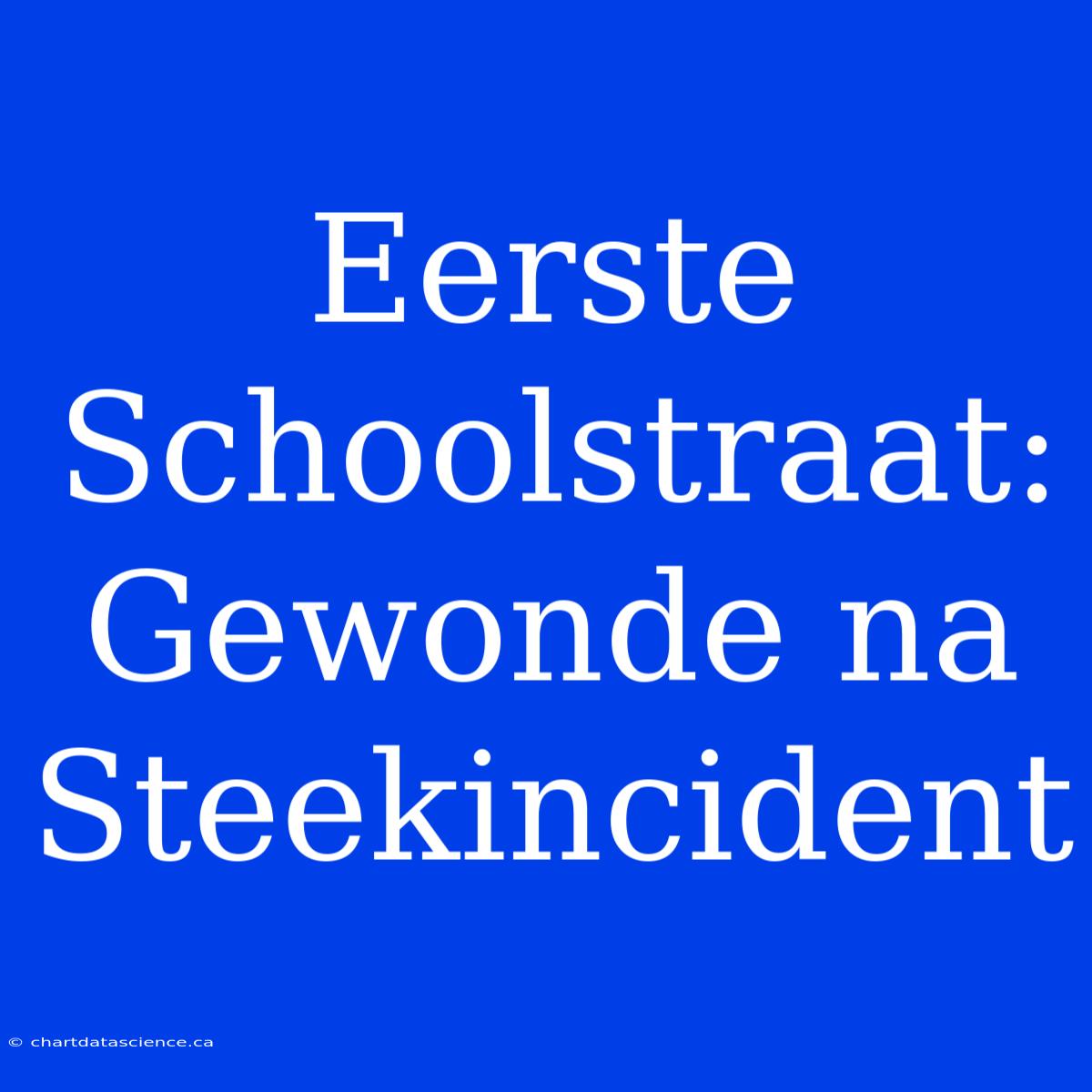 Eerste Schoolstraat: Gewonde Na Steekincident