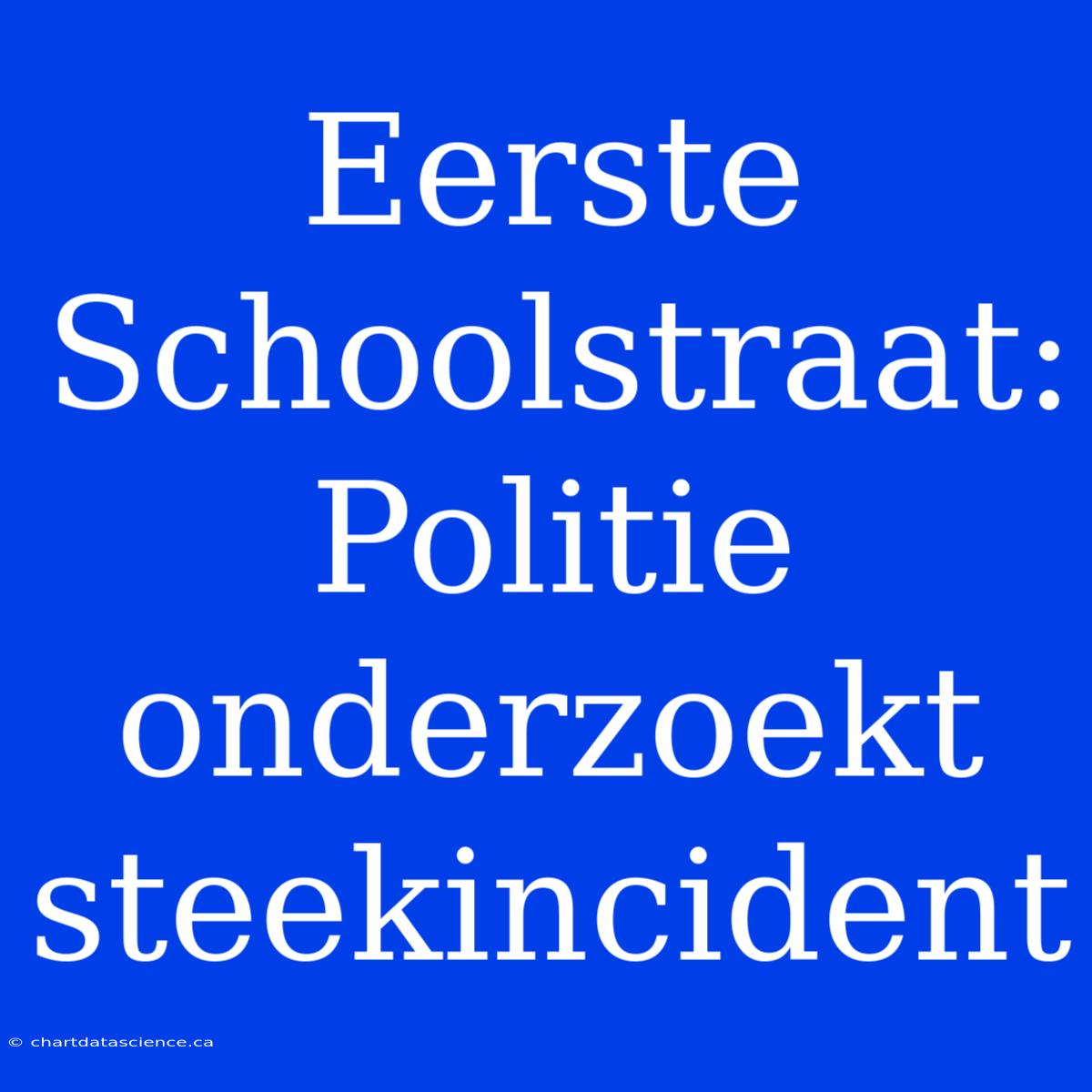 Eerste Schoolstraat: Politie Onderzoekt Steekincident