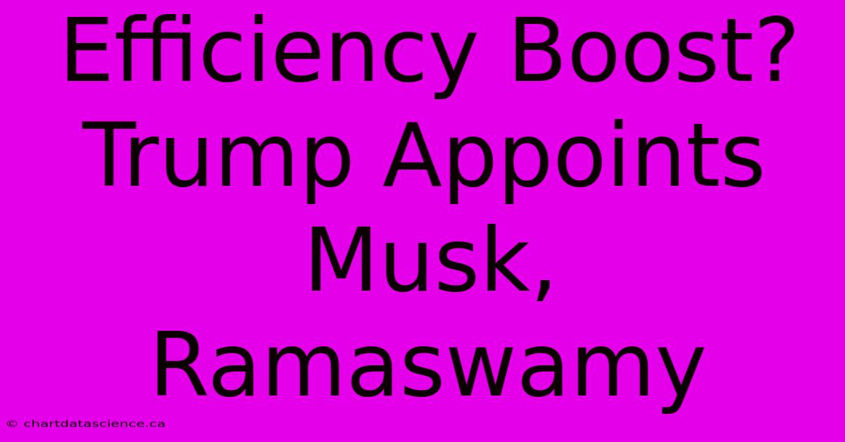 Efficiency Boost? Trump Appoints Musk, Ramaswamy