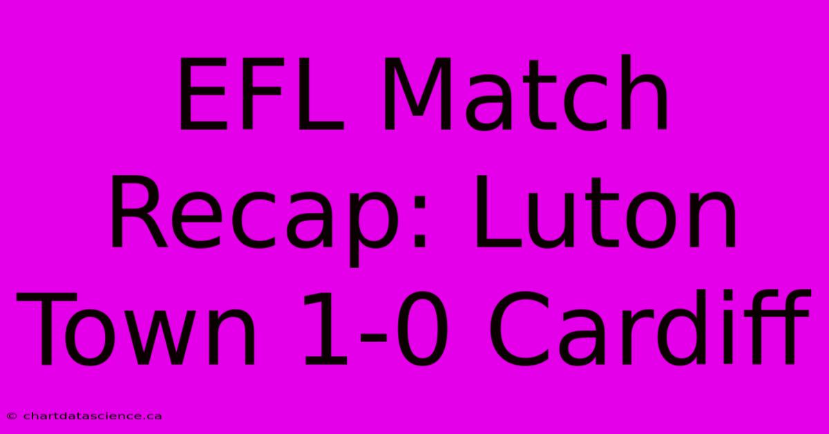 EFL Match Recap: Luton Town 1-0 Cardiff