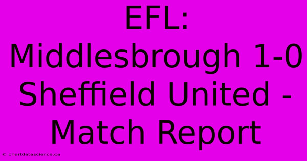 EFL: Middlesbrough 1-0 Sheffield United - Match Report