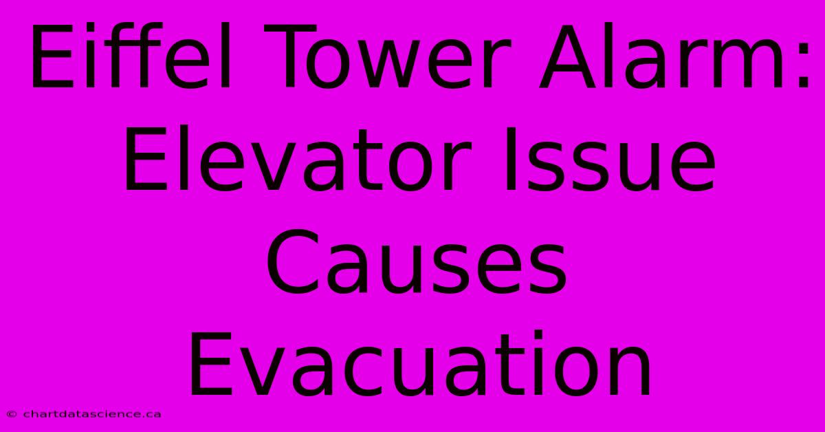 Eiffel Tower Alarm: Elevator Issue Causes Evacuation