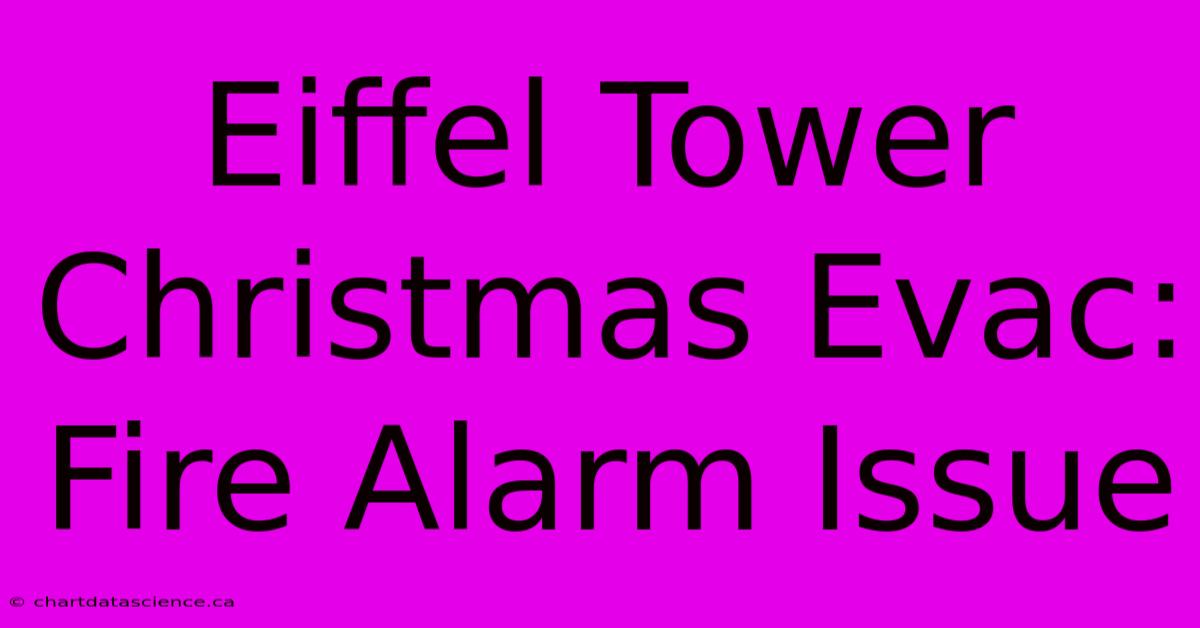 Eiffel Tower Christmas Evac: Fire Alarm Issue