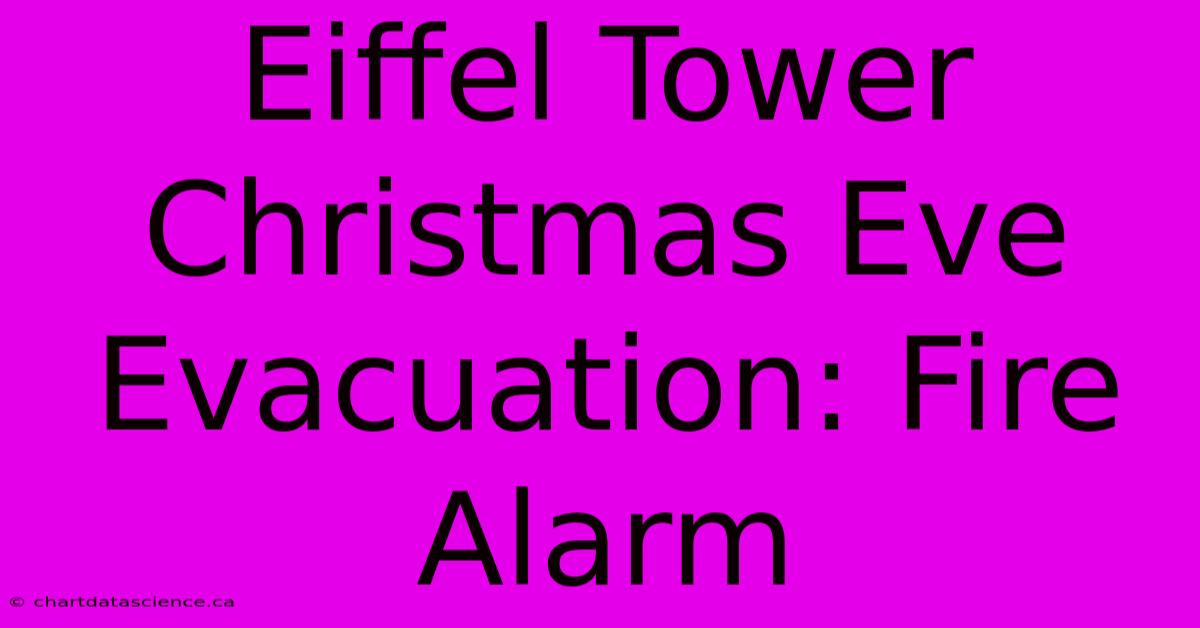 Eiffel Tower Christmas Eve Evacuation: Fire Alarm