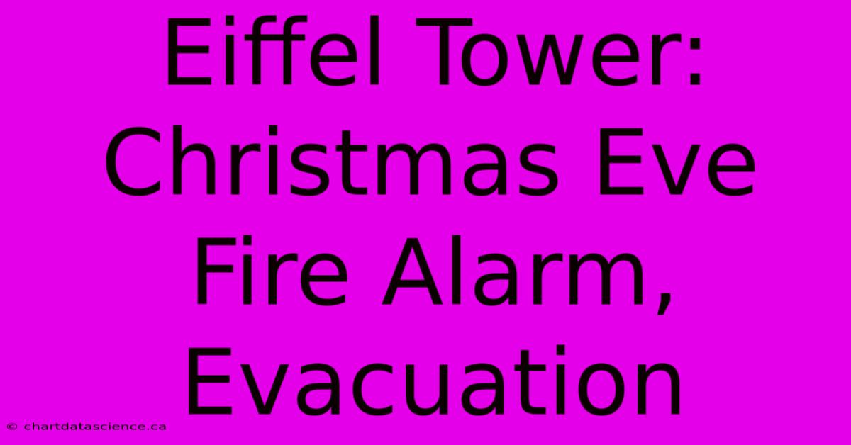 Eiffel Tower Christmas Eve Fire Alarm Evacuation