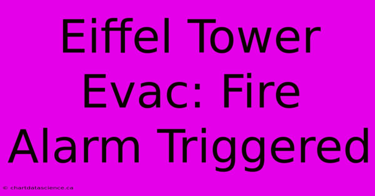 Eiffel Tower Evac: Fire Alarm Triggered