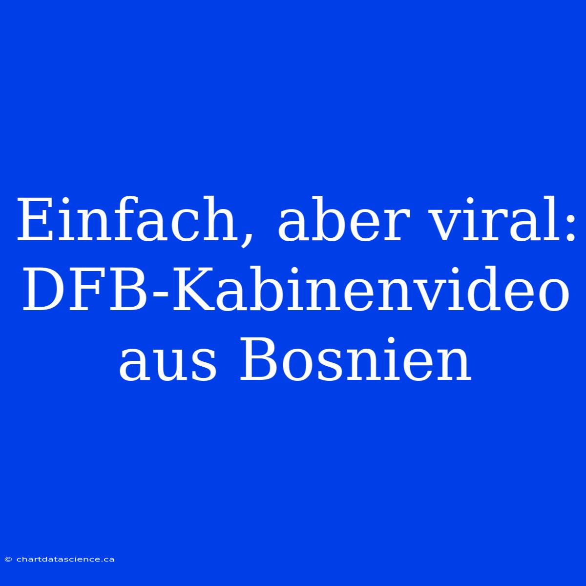 Einfach, Aber Viral: DFB-Kabinenvideo Aus Bosnien