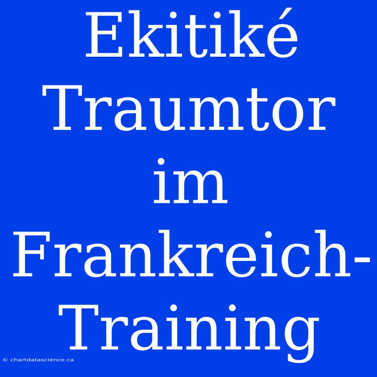 Ekitiké Traumtor Im Frankreich-Training