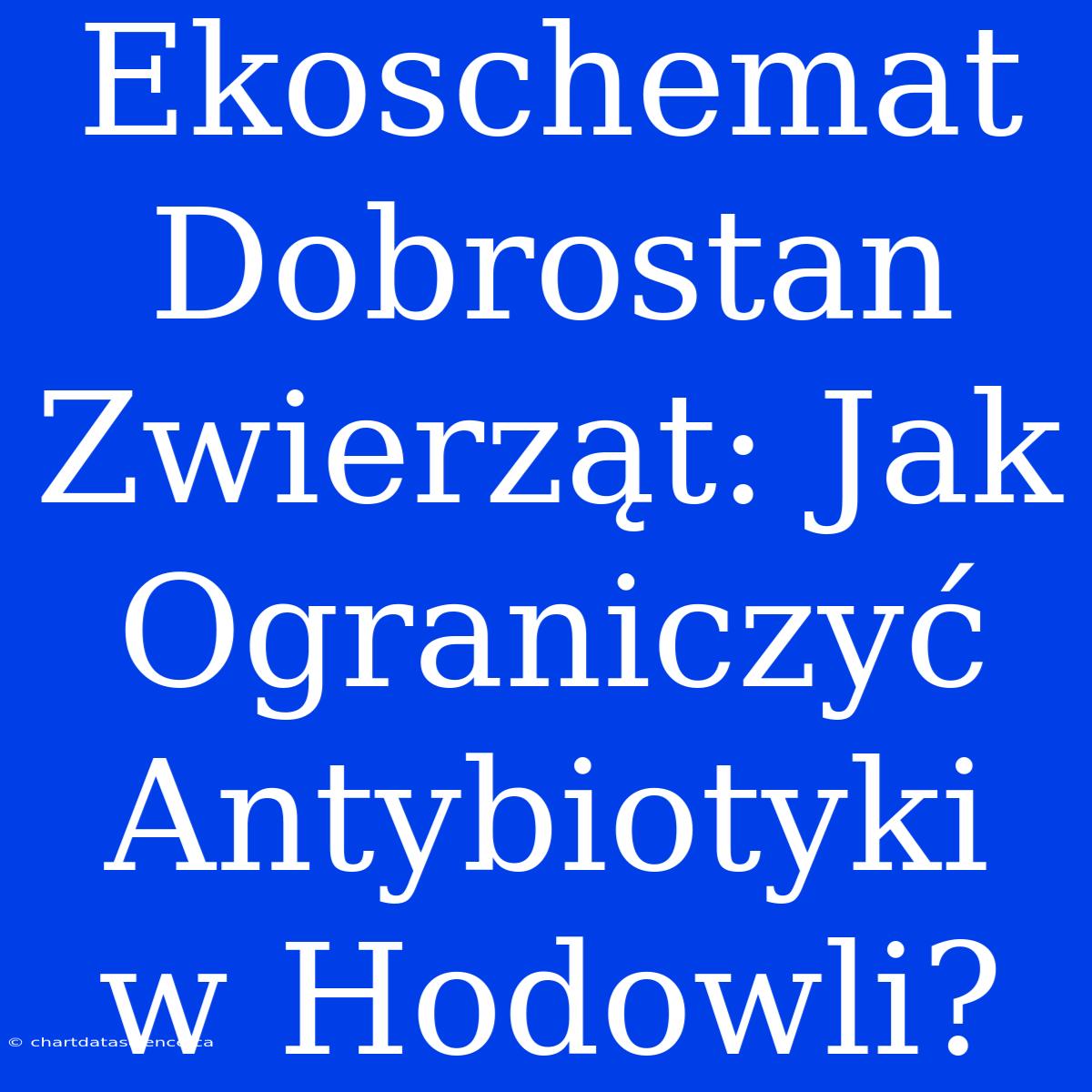 Ekoschemat Dobrostan Zwierząt: Jak Ograniczyć Antybiotyki W Hodowli?