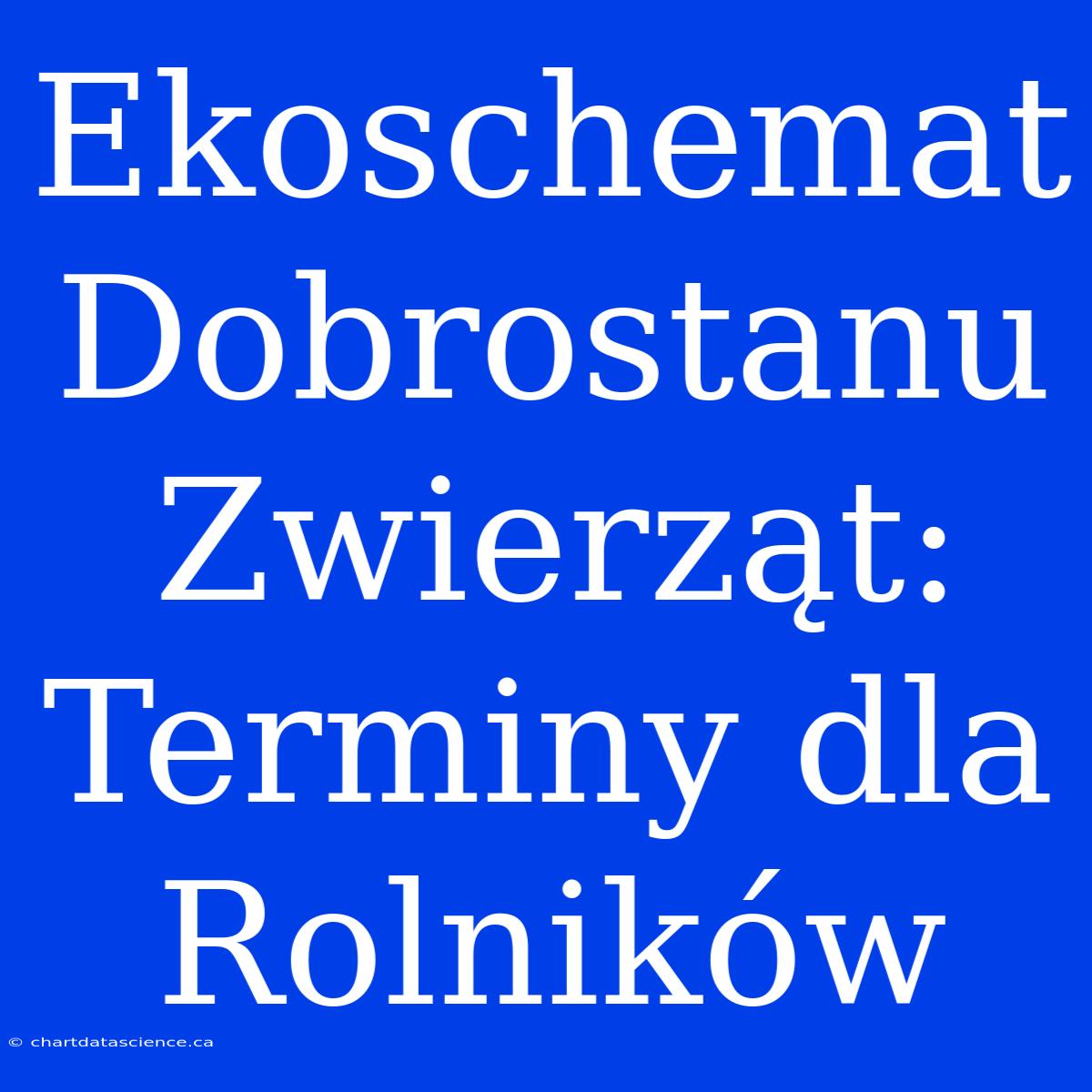 Ekoschemat Dobrostanu Zwierząt: Terminy Dla Rolników