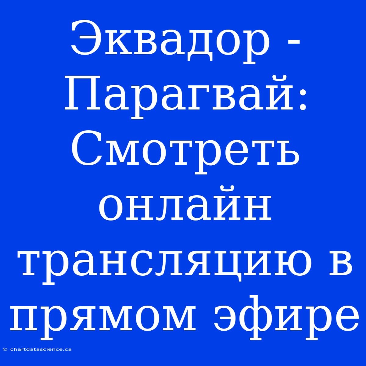 Эквадор - Парагвай: Смотреть Онлайн Трансляцию В Прямом Эфире