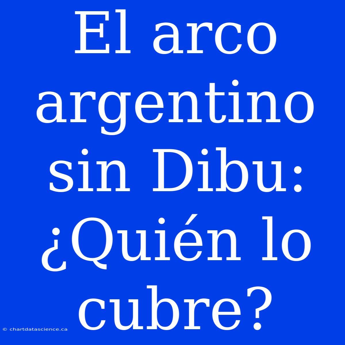 El Arco Argentino Sin Dibu: ¿Quién Lo Cubre?