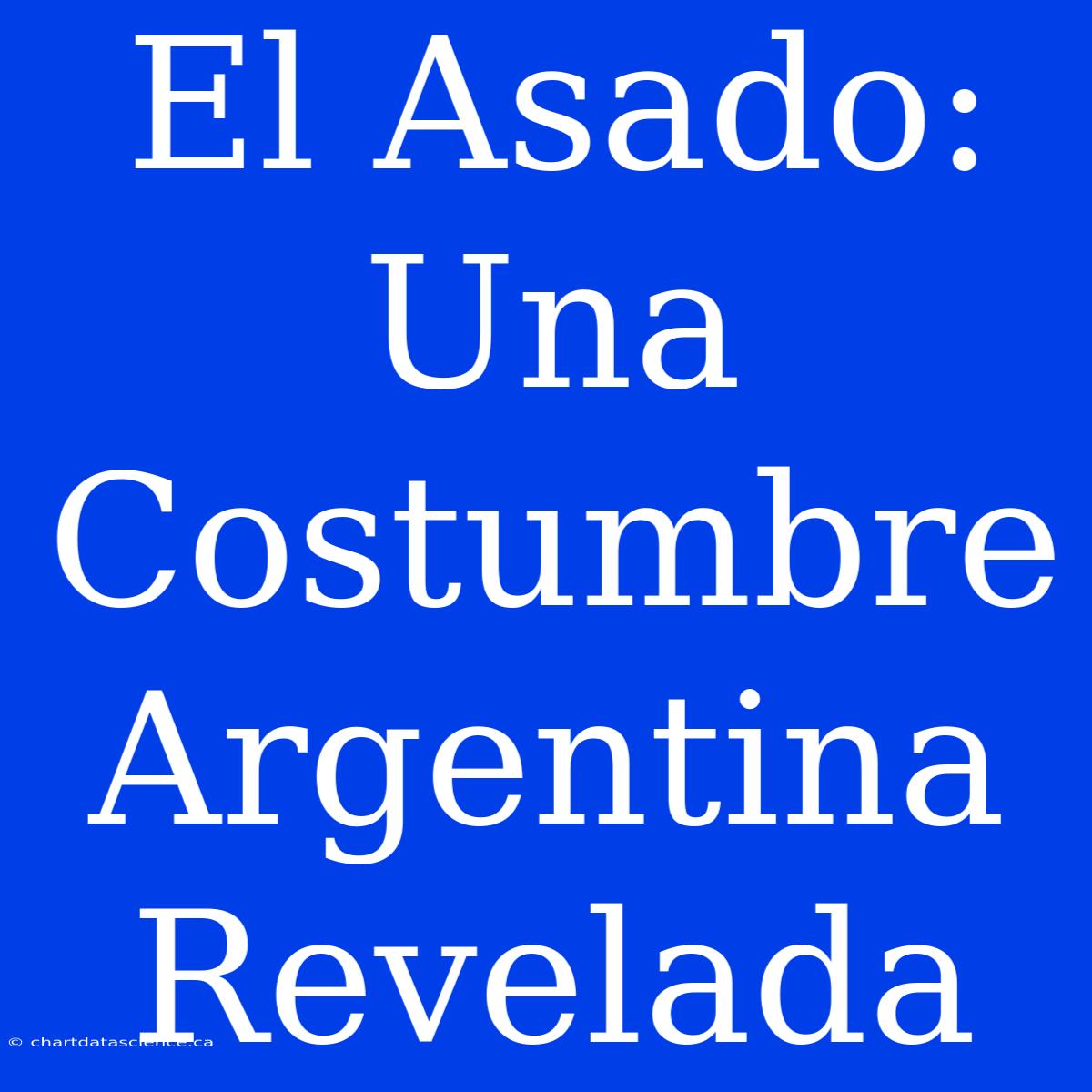 El Asado: Una Costumbre Argentina Revelada