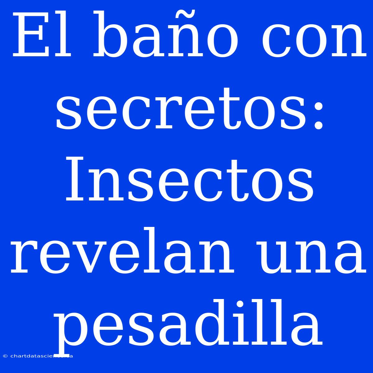 El Baño Con Secretos: Insectos Revelan Una Pesadilla