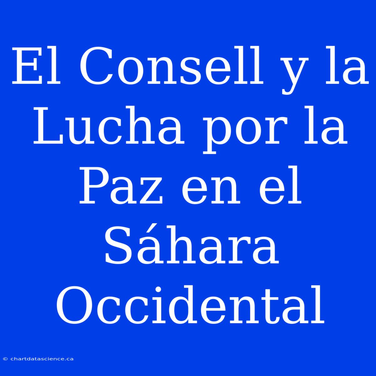 El Consell Y La Lucha Por La Paz En El Sáhara Occidental